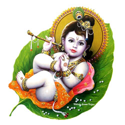 Lord Krishna Child